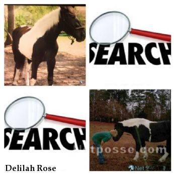 Delilah Rose